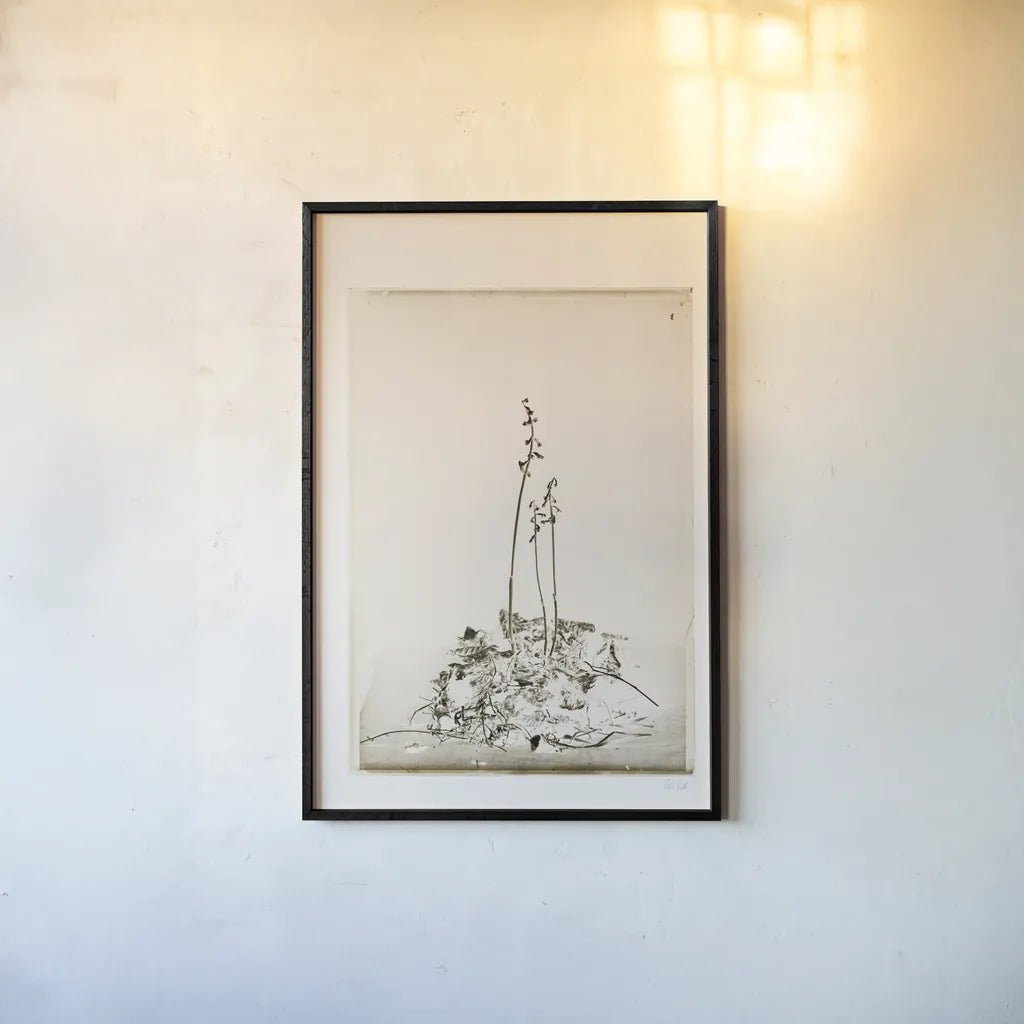 Glass Plate II by Deborah Revell. shown as a paper print in a black flame. Available as a archival giclee rolled canvas, fine art paper, or poster print. SKU 94347h.