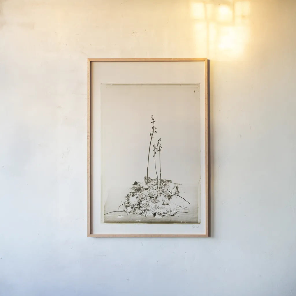 Glass Plate II by Deborah Revell. shown as a paper print in a natural frame. Available as a archival giclee rolled canvas, fine art paper, or poster print. SKU 94347h.