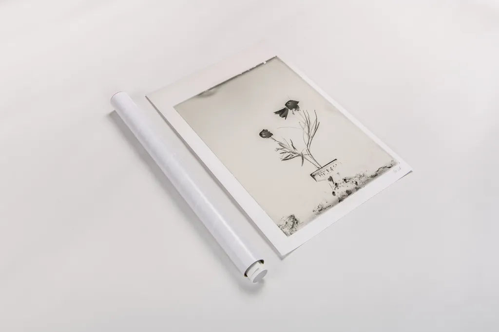 Glass Plate III by Deborah Revell. shown as a rolled paper print. Available as archival giclee rolled canvas, fine art paper, or poster print. SKU 94348h.