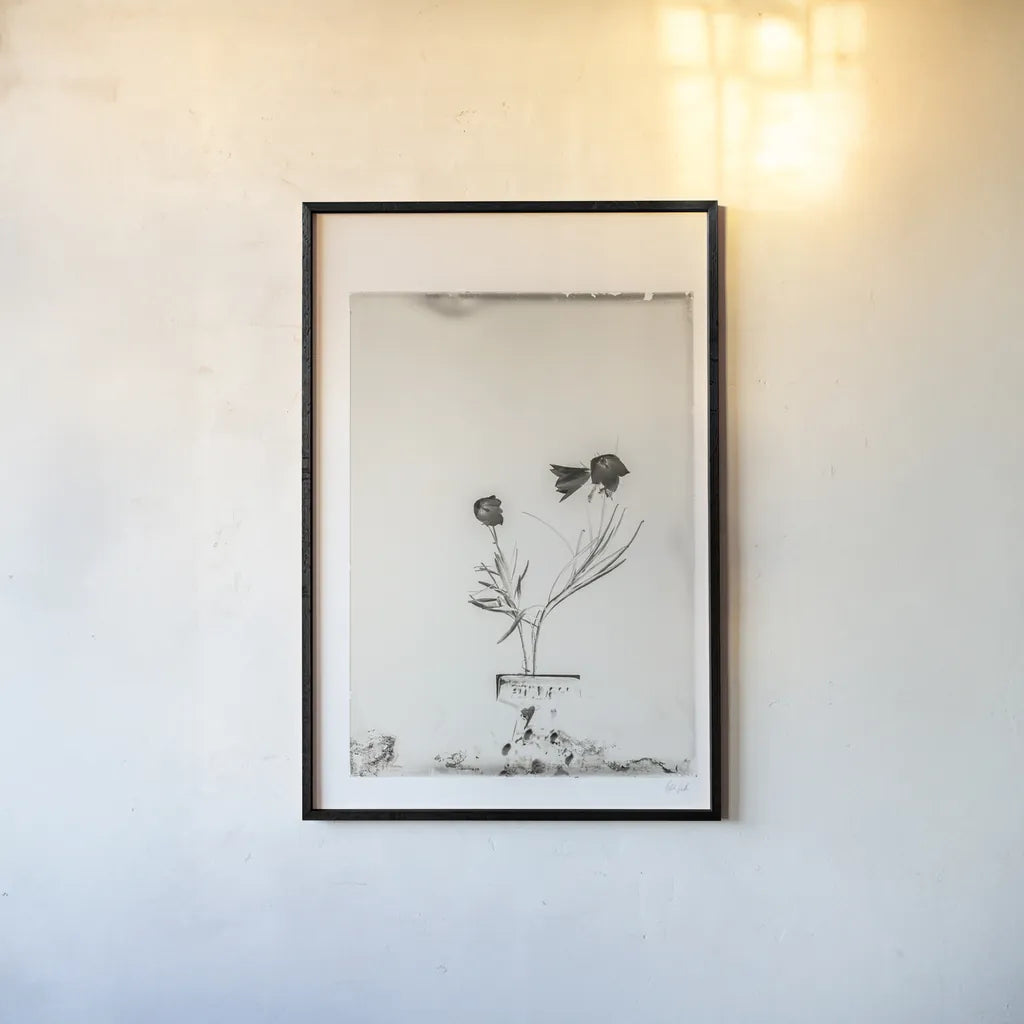 Glass Plate III by Deborah Revell. shown as a paper print in a black flame. Available as a archival giclee rolled canvas, fine art paper, or poster print. SKU 94348h.