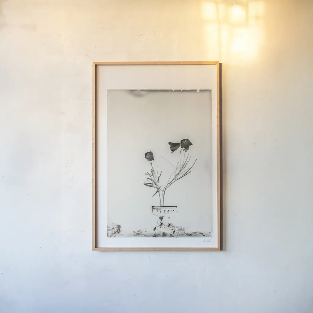 Glass Plate III by Deborah Revell. shown as a paper print in a natural frame. Available as a archival giclee rolled canvas, fine art paper, or poster print. SKU 94348h.