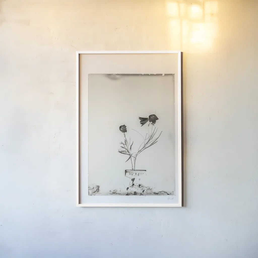 Glass Plate III by Deborah Revell. shown as a paper print in a white frame. Available as a archival giclee rolled canvas, fine art paper, or poster print. SKU 94348h.