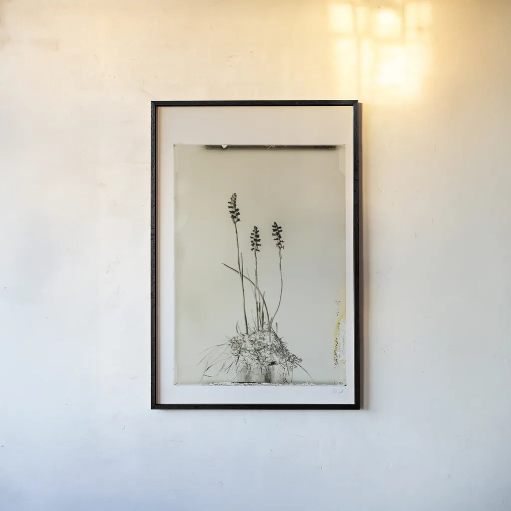 Glass Plate IV by Deborah Revell. shown as a paper print in a black flame. Available as a archival giclee rolled canvas, fine art paper, or poster print. SKU 94349h.