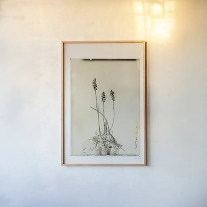 Glass Plate IV by Deborah Revell. shown as a paper print in a natural frame. Available as a archival giclee rolled canvas, fine art paper, or poster print. SKU 94349h.