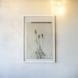 Glass Plate IV by Deborah Revell. shown as a paper print in a white frame. Available as a archival giclee rolled canvas, fine art paper, or poster print. SKU 94349h.