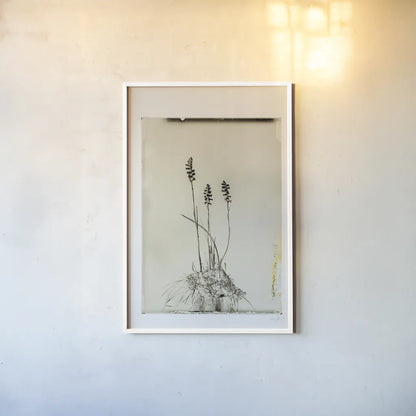 Glass Plate IV by Deborah Revell. shown as a paper print in a white frame. Available as a archival giclee rolled canvas, fine art paper, or poster print. SKU 94349h.