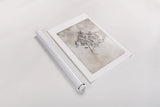 Glass Plate V by Deborah Revell. shown as a rolled paper print. Available as archival giclee rolled canvas, fine art paper, or poster print. SKU 94350h.