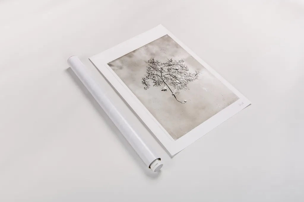 Glass Plate V by Deborah Revell. shown as a rolled paper print. Available as archival giclee rolled canvas, fine art paper, or poster print. SKU 94350h.