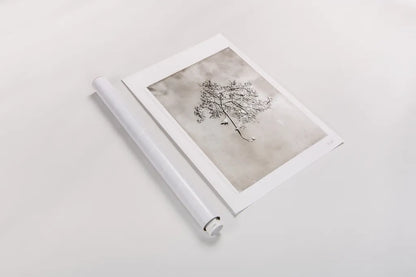 Glass Plate V by Deborah Revell. shown as a rolled paper print. Available as archival giclee rolled canvas, fine art paper, or poster print. SKU 94350h.