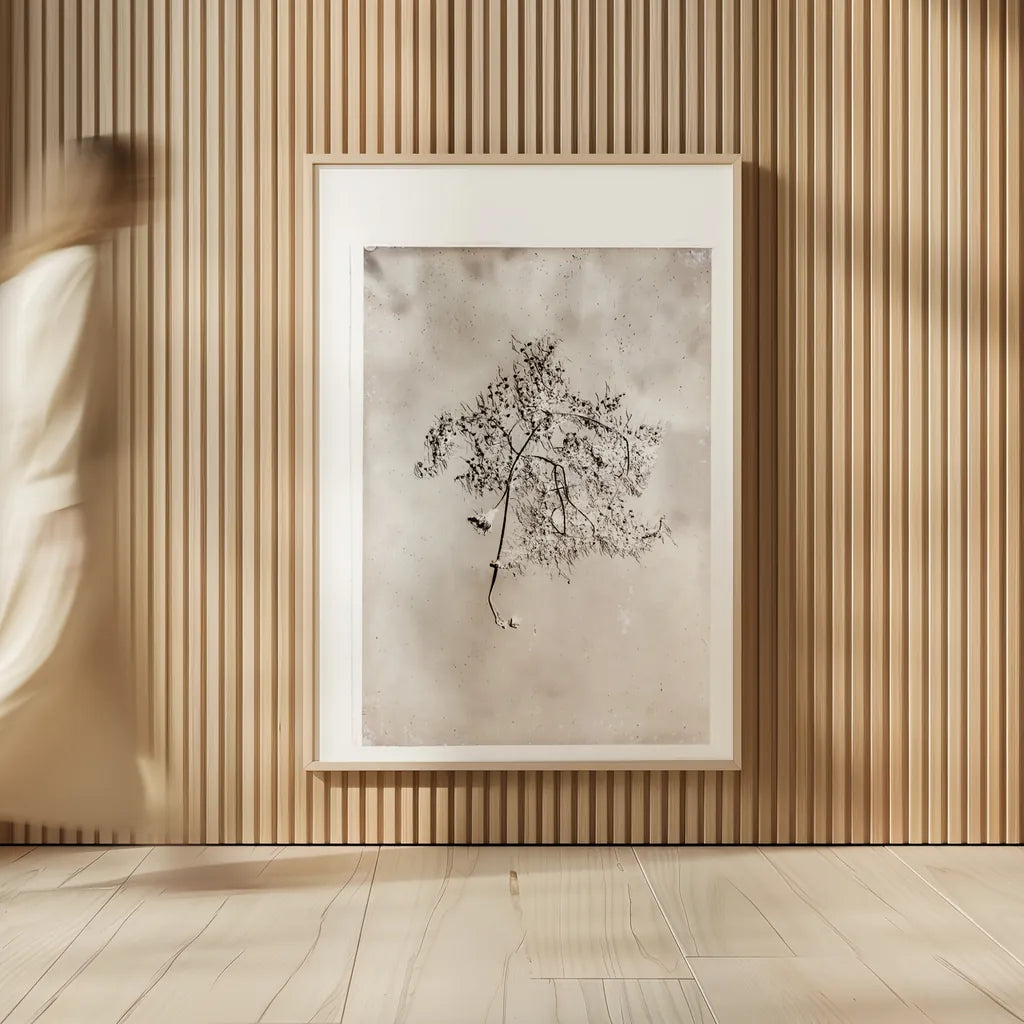 Glass Plate V by Deborah Revell. shown as over sized large wall art. Available as an archival giclee rolled canvas, fine art paper, or poster print. SKU 94350h.