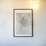 Glass Plate V by Deborah Revell. shown as a paper print in a black flame. Available as a archival giclee rolled canvas, fine art paper, or poster print. SKU 94350h.
