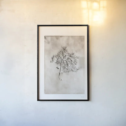 Glass Plate V by Deborah Revell. shown as a paper print in a black flame. Available as a archival giclee rolled canvas, fine art paper, or poster print. SKU 94350h.