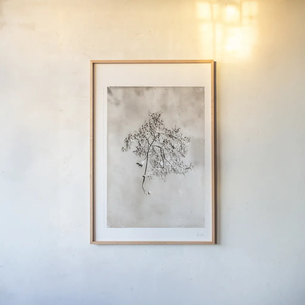 Glass Plate V by Deborah Revell. shown as a paper print in a natural frame. Available as a archival giclee rolled canvas, fine art paper, or poster print. SKU 94350h.
