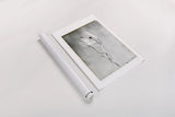 Glass Plate VI by Deborah Revell. shown as a rolled paper print. Available as archival giclee rolled canvas, fine art paper, or poster print. SKU 94351h.