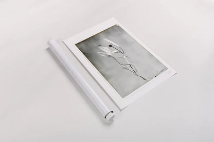 Glass Plate VI by Deborah Revell. shown as a rolled paper print. Available as archival giclee rolled canvas, fine art paper, or poster print. SKU 94351h.