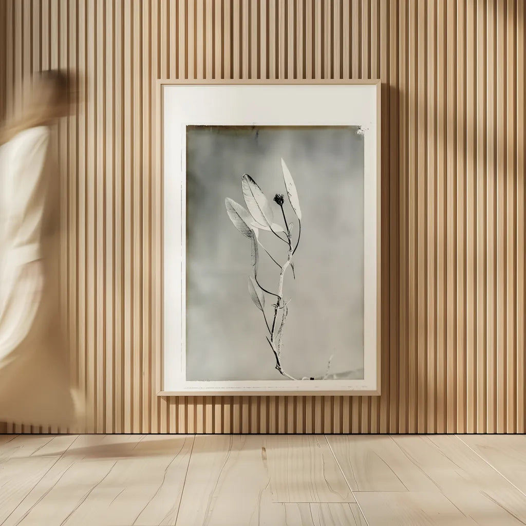 Glass Plate VI by Deborah Revell. shown as over sized large wall art. Available as an archival giclee rolled canvas, fine art paper, or poster print. SKU 94351h.