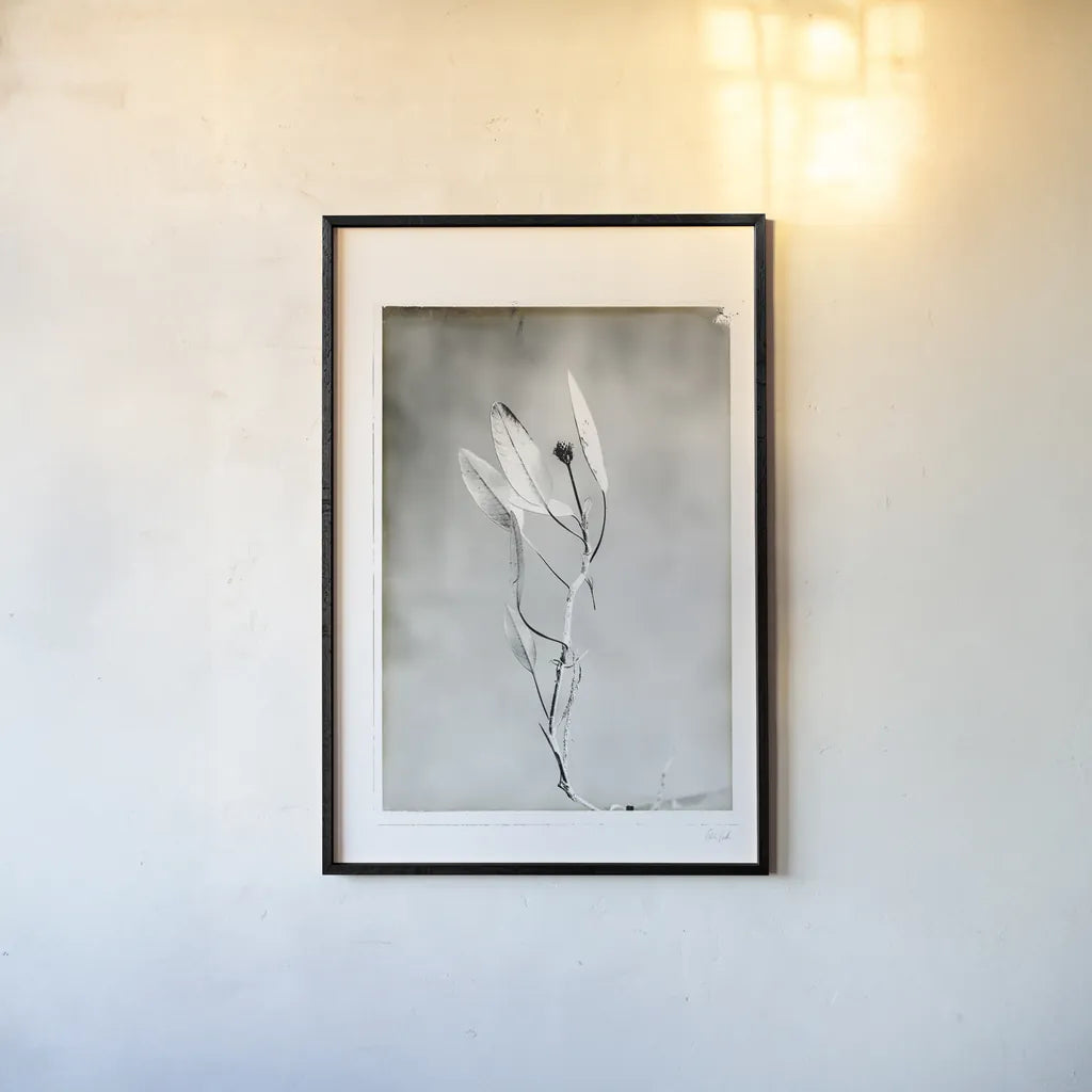 Glass Plate VI by Deborah Revell. shown as a paper print in a black flame. Available as a archival giclee rolled canvas, fine art paper, or poster print. SKU 94351h.