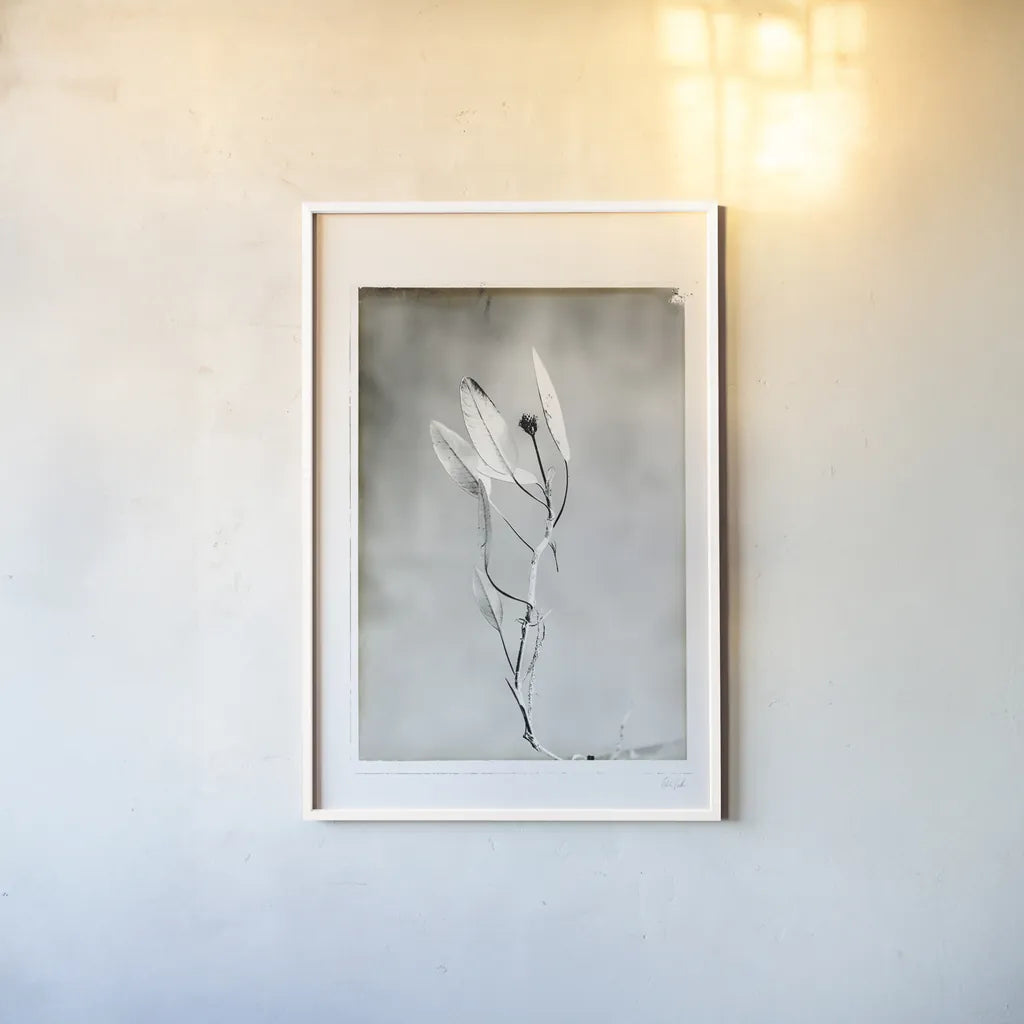 Glass Plate VI by Deborah Revell. shown as a paper print in a white frame. Available as a archival giclee rolled canvas, fine art paper, or poster print. SKU 94351h.