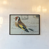 Goldfinch by Deborah Revell. shown as a paper print in a black flame. Available as a archival giclee rolled canvas, fine art paper, or poster print. SKU 104183i.