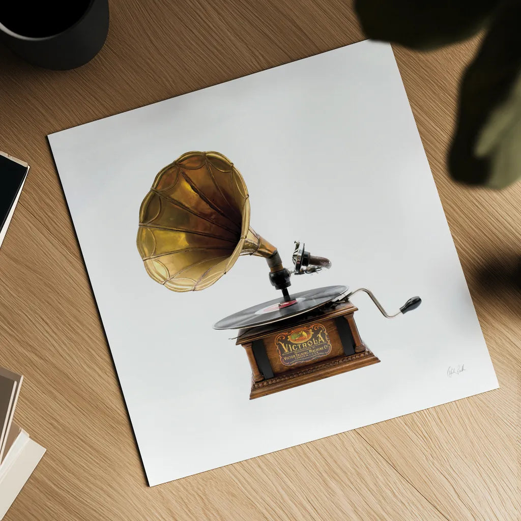 Gramaphone by Deborah Revell. Shown as a detailed flat fine art print, highlighting archival giclee quality. Available as an archival giclee rolled canvas, fine art paper, or poster print. SKU 92067a.