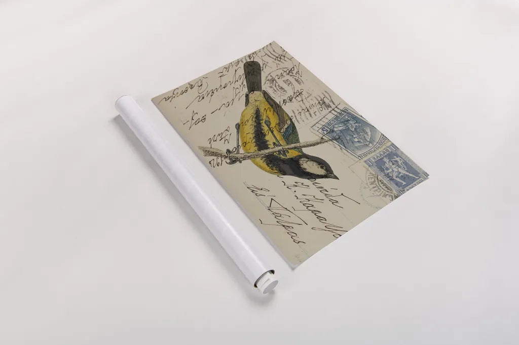 Great Tit by Deborah Revell. shown as a rolled paper print. Available as archival giclee rolled canvas, fine art paper, or poster print. SKU 101618i.