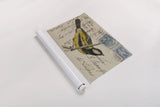 Great Tit by Deborah Revell. shown as a rolled paper print. Available as archival giclee rolled canvas, fine art paper, or poster print. SKU 101618i.