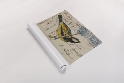 Great Tit by Deborah Revell. shown as a rolled paper print. Available as archival giclee rolled canvas, fine art paper, or poster print. SKU 101618i.