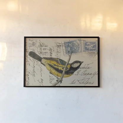 Great Tit by Deborah Revell. shown as a paper print in a black flame. Available as a archival giclee rolled canvas, fine art paper, or poster print. SKU 101618i.