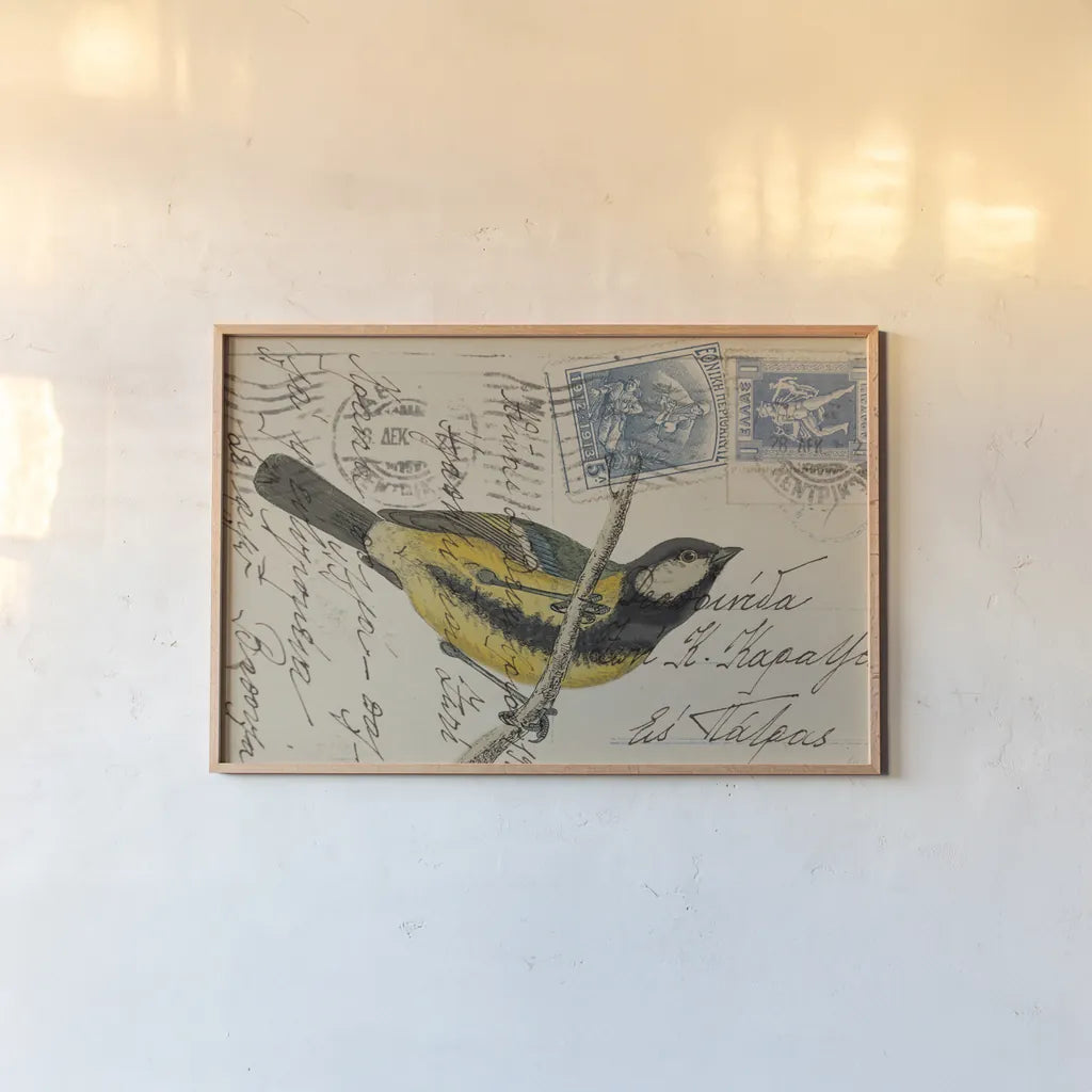 Great Tit by Deborah Revell. shown as a paper print in a natural frame. Available as a archival giclee rolled canvas, fine art paper, or poster print. SKU 101618i.