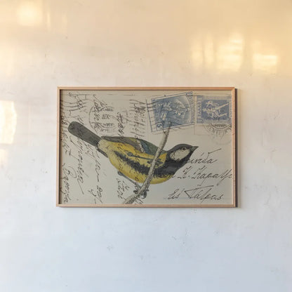 Great Tit by Deborah Revell. shown as a paper print in a natural frame. Available as a archival giclee rolled canvas, fine art paper, or poster print. SKU 101618i.