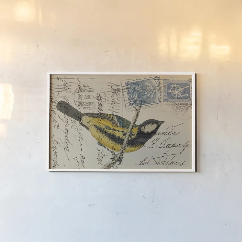 Great Tit by Deborah Revell. shown as a paper print in a white frame. Available as a archival giclee rolled canvas, fine art paper, or poster print. SKU 101618i.