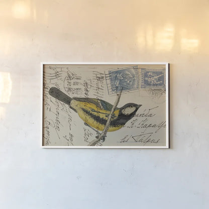 Great Tit by Deborah Revell. shown as a paper print in a white frame. Available as a archival giclee rolled canvas, fine art paper, or poster print. SKU 101618i.