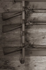 Gun Rack by Deborah Revell. SKU 96605h. Archival Giclee Fine art print for wall decor.