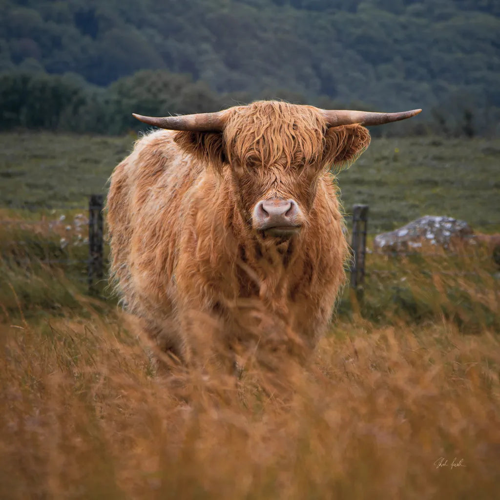 Happy Highland by Deborah Revell. SKU 95759a. Archival Giclee Fine art print for wall decor.