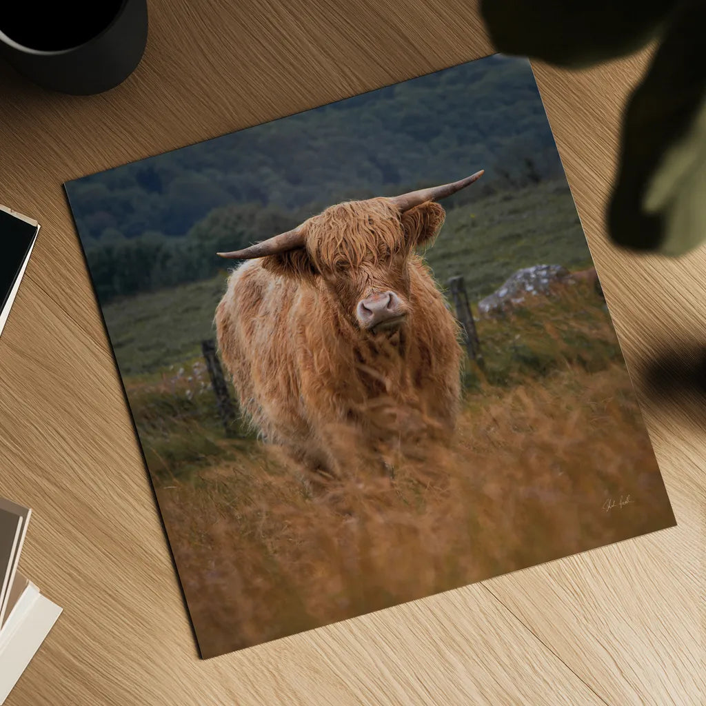 Happy Highland by Deborah Revell. Shown as a detailed flat fine art print, highlighting archival giclee quality. Available as an archival giclee rolled canvas, fine art paper, or poster print. SKU 95759a.