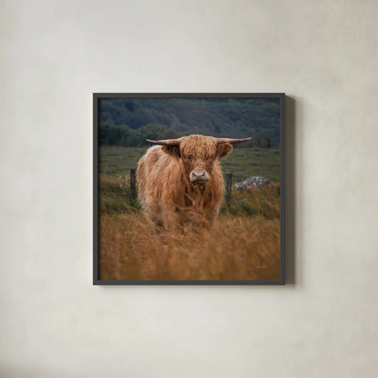 Happy Highland by Deborah Revell. Shown in a sleek black glass frame for a contemporary gallery look. Available as an archival giclee rolled canvas, fine art paper, or poster print. SKU 95759a.