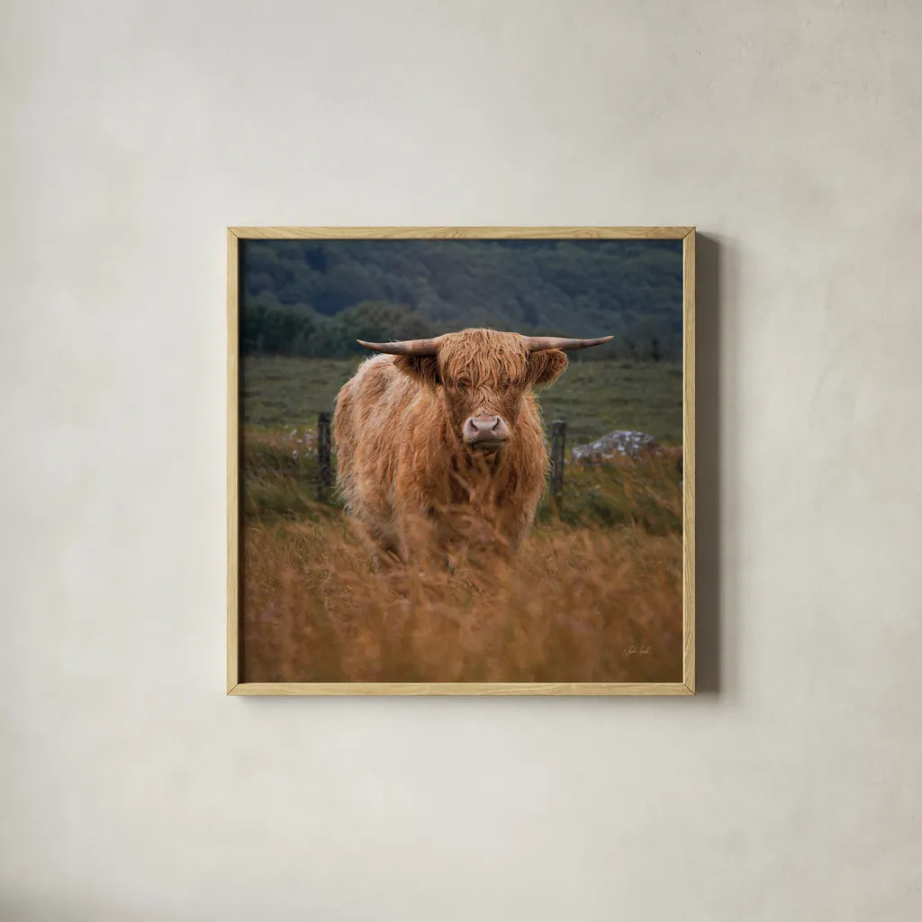 Happy Highland by Deborah Revell. Shown in a natural wood glass frame for a timeless modern aesthetic. Available as an archival giclee rolled canvas, fine art paper, or poster print. SKU 95759a.
