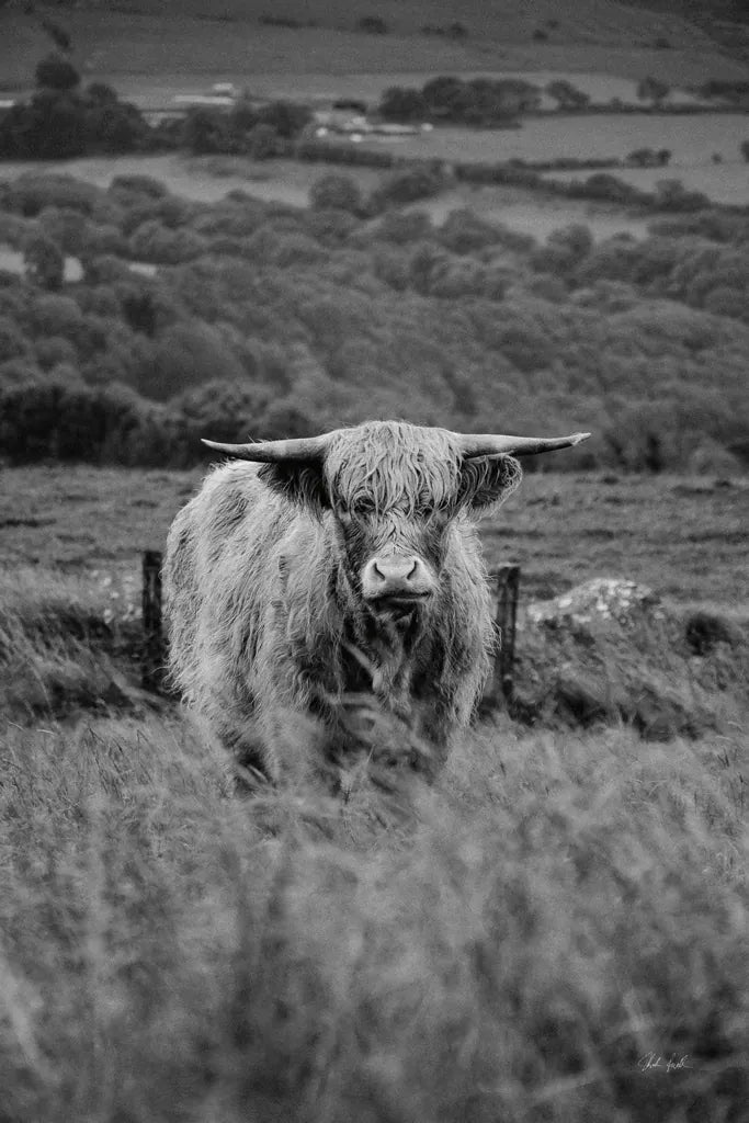 Happy Highland Landscape by Deborah Revell. SKU 95761h. Archival Giclee Fine art print for wall decor.