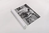 Happy Highland Portrait by Deborah Revell. shown as a rolled paper print. Available as archival giclee rolled canvas, fine art paper, or poster print. SKU 95760i.