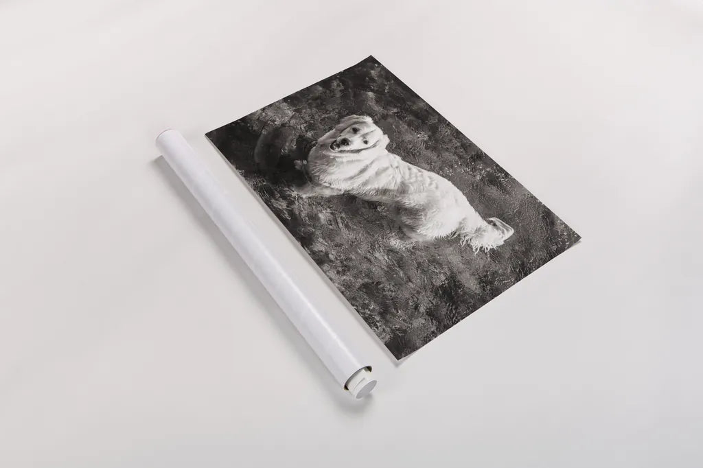 Happy Retriever by Deborah Revell. shown as a rolled paper print. Available as archival giclee rolled canvas, fine art paper, or poster print. SKU 94359i.