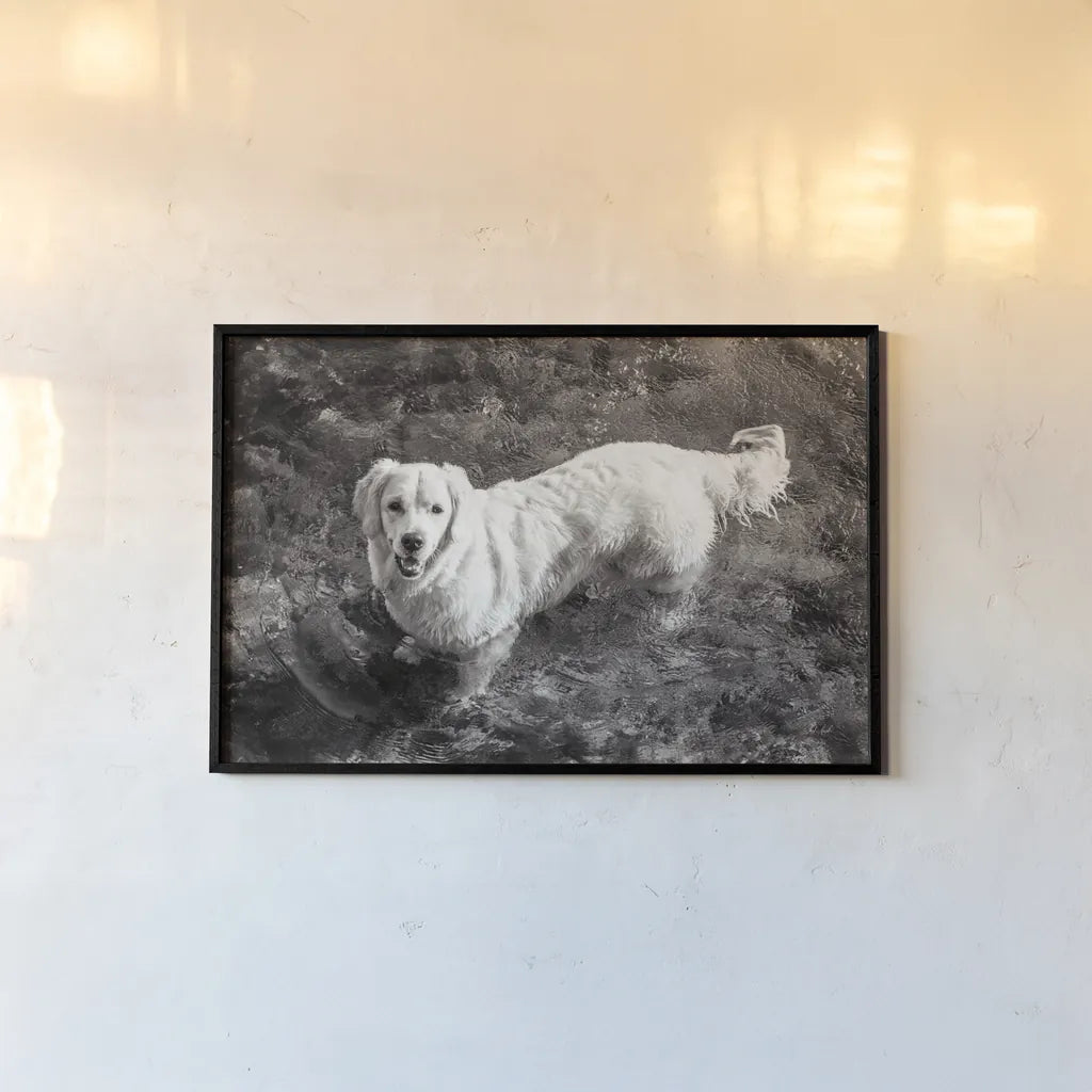 Happy Retriever by Deborah Revell. shown as a paper print in a black flame. Available as a archival giclee rolled canvas, fine art paper, or poster print. SKU 94359i.