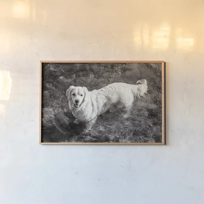 Happy Retriever by Deborah Revell. shown as a paper print in a natural frame. Available as a archival giclee rolled canvas, fine art paper, or poster print. SKU 94359i.