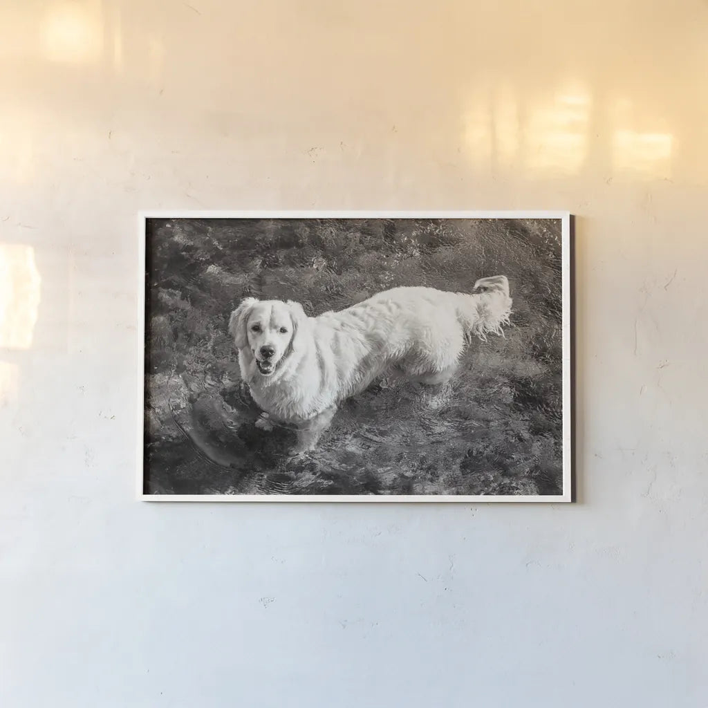 Happy Retriever by Deborah Revell. shown as a paper print in a white frame. Available as a archival giclee rolled canvas, fine art paper, or poster print. SKU 94359i.