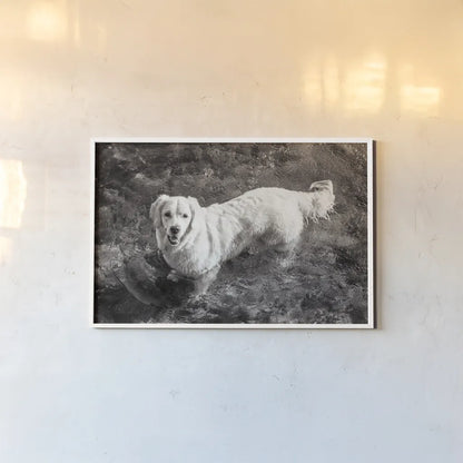 Happy Retriever by Deborah Revell. shown as a paper print in a white frame. Available as a archival giclee rolled canvas, fine art paper, or poster print. SKU 94359i.