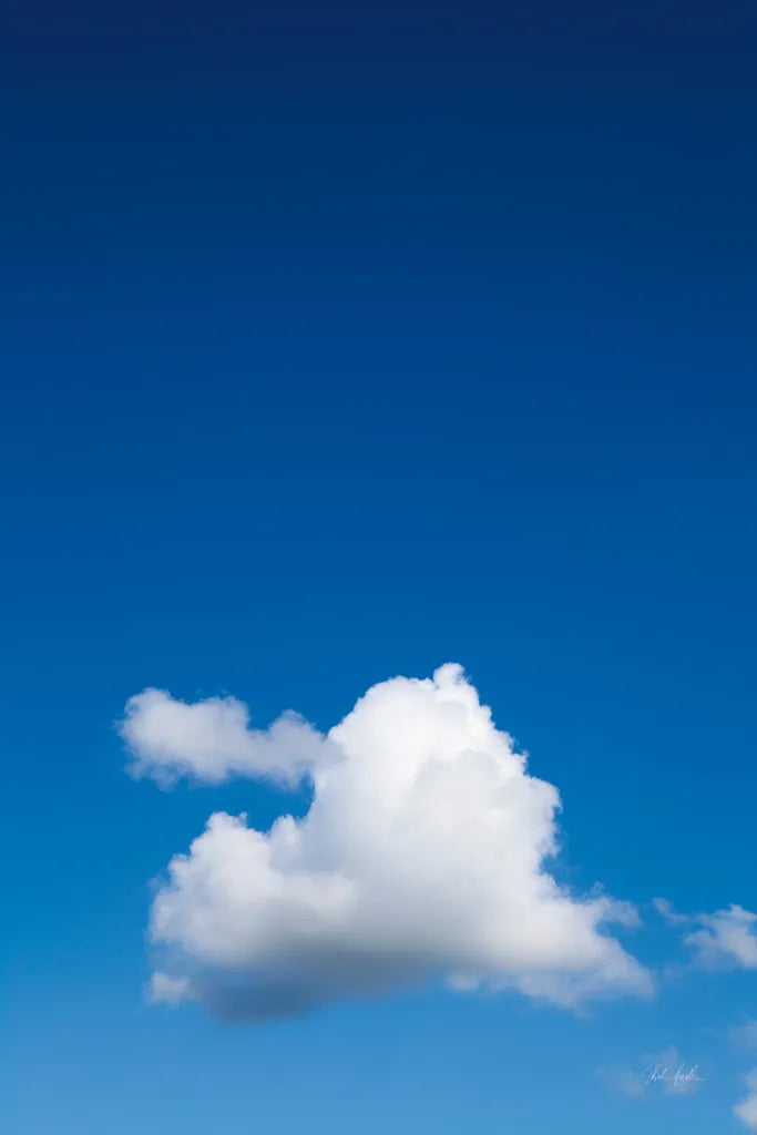 Heart Cloud by Deborah Revell. SKU 93399h. Archival Giclee Fine art print for wall decor.