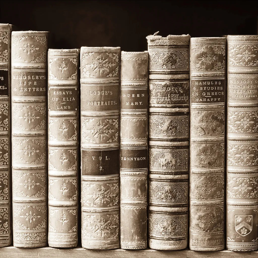 History Books I by Deborah Revell. SKU 96916a. Archival Giclee Fine art print for wall decor.