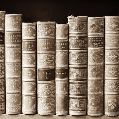 History Books I by Deborah Revell. SKU 96916a. Archival Giclee Fine art print for wall decor.