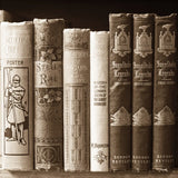 History Books II by Deborah Revell. SKU 96917a. Archival Giclee Fine art print for wall decor.