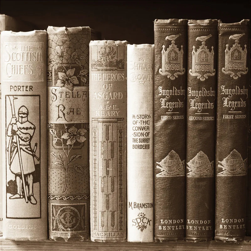 History Books II by Deborah Revell. SKU 96917a. Archival Giclee Fine art print for wall decor.