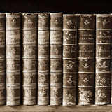 History Books III by Deborah Revell. SKU 96918a. Archival Giclee Fine art print for wall decor.